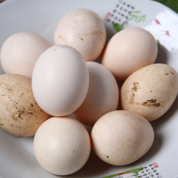 湘西特产有机农产品批发农户自养鸡蛋笨鸡蛋