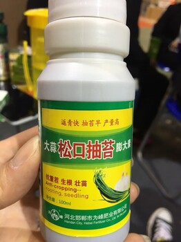 大蒜松口抽苔膨大素生根壮苗膨果防早衰大蒜调节剂叶面肥厂家全国招商