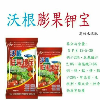 果樹膨果著色用什么肥比較好？推薦邯鄲為峰肥業沃根膨果鉀寶高鉀高鈣水溶肥