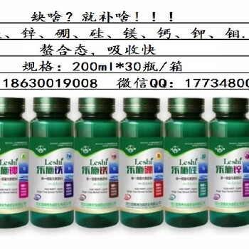 西红柿上有洞？穿孔果形成的原因是什么？如何防治？西红柿缺硼缺钙？怎么防治？