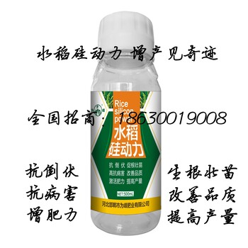 水稻缺硅的预防方法？水稻用硅肥作用好处？水稻硅肥怎么用？用硅肥效果真的好么？厂家