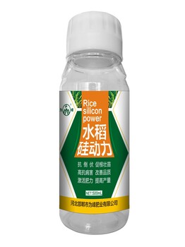 鳌合硅肥在水稻上的作用和使用方法？为峰肥业水稻硅肥厂家叶面肥糖醇硅全国招商中