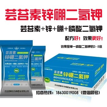 芸苔素锌硼二氢钾特点价格生产厂家锌硼二氢钾和纯磷酸二氢钾哪种效果好为峰肥全国招商