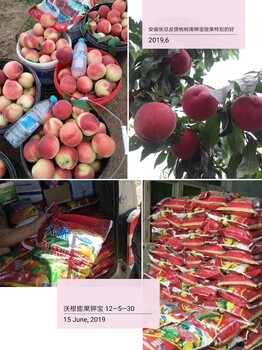 沃根膨果鉀寶為峰肥業(yè)生根膨果沖施肥高鉀水溶肥廠家全國(guó)招商