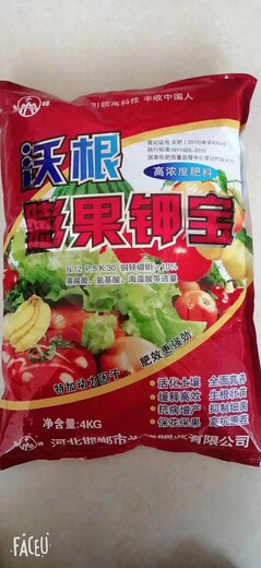 高含量沃根膨果钾宝效果,膨果钾宝