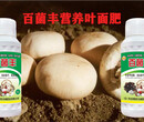 食用菌叶面肥-为峰肥业百菌丰蘑菇木耳金针菇菌菇肥图片