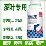 茶叶催芽嫩绿素为峰肥业茶叶增产叶面肥茶茬丰茶丰素厂家