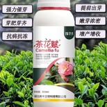 茶叶催芽素催芽增产叶面肥调节剂为峰肥业茶叶水溶肥厂家批发图片2