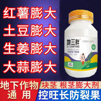 根莖膨大劑生產(chǎn)廠家為峰肥業(yè)根莖增產(chǎn)素胖墩地三胖地下猛長批發(fā)