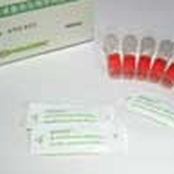 ACE爱斯二氧化氯空间灭菌用生物指示剂H6306