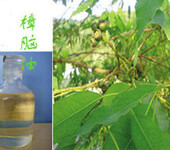 江西万绿天然香料厂家供应药用原料樟脑油