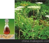 江西万绿天然香料厂家供应药用原料柴胡油微芳香，味淡
