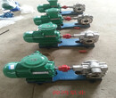 源鸿泵业供应YCB0.6-0.6圆弧泵，圆弧齿轮泵，高温泵图片