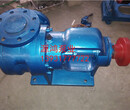 源鸿专业生产NYP30-1.0高粘度转子泵，不锈钢转子泵图片