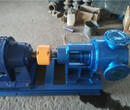 厂家直销NYP10B高粘度泵，转子泵，防爆泵，油泵厂家图片