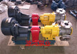 源鸿专业生产NYP30-1.0高粘度转子泵，保温转子泵，型号齐全，价格优惠
