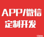 合肥网络营销建设/游戏软件app开发/小程序商城图片0