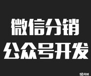 合肥网络营销建设/游戏软件app开发/小程序商城图片1