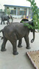 定制大象雕塑廠銅雕動物鑄銅大象祥獅雕塑
