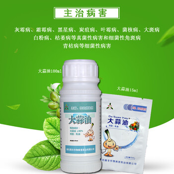 大蒜油的神奇功效治療灰霉病霜霉病炭疽病等