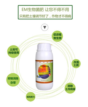 草莓新葉變黑怎么預(yù)防地力旺奧豐全國
