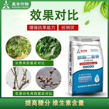 冬天來了果樹保溫怎么做可以防凍