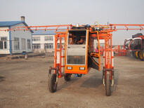 丰诺植保机械四轮自走式高架小麦，玉米打药机图片4