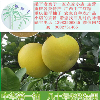 广东人爱吃的中国名柚广东人评价梁平柚了营养价值高