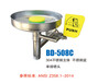 紧急冲淋装置不锈钢壁挂式洗眼器单喷头BRADYBD-508C天津新实力