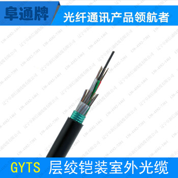 厂家GYTS-24B1光缆国标光缆单模光缆管道光缆
