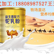 益生菌骆驼粉ODM生产/燕窝饮品代工图片