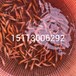 安徽合肥三角鲂鱼苗,四川泸州日本锦鲤鱼苗批发价格