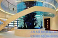 成都亞克力工廠承接大型景觀水族箱亞克力魚缸工程