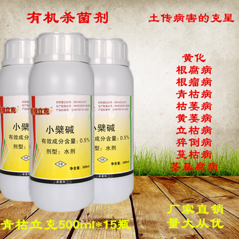 山東奧豐馬鈴薯土豆晚疫病藥生物農(nóng)藥青枯立克土傳病害的克星