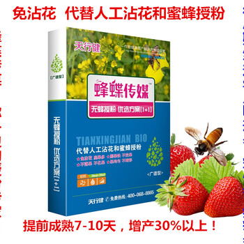 大櫻桃授粉西葫蘆授粉西紅柿授粉桃樹授粉