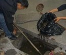 武汉三镇专业抽粪抽污水图片