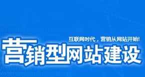 深圳网站建设_深圳网站设计_网站制作_网站建设公司-龙岗网站建设公司图片3