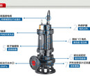 150JYWQ/JBWQ/JPWQ200-30-37自动搅匀排污泵