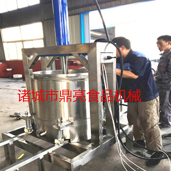 DL-200L不锈钢压榨机金针菇液压压榨机葡萄榨汁机