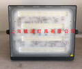 飛利浦BVP171/30W明暉LED投光燈