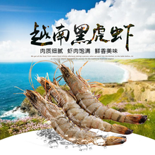 越南——黑虎虾预售图片