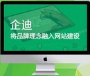 朝阳专业网站建设，网站设计，网站开发图片