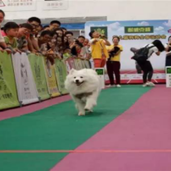 2017中国（武汉）国际宠物产业博览会