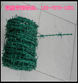 廠家圍墻刺繩，帶刺鐵絲網(wǎng)規(guī)格，鐵蒺藜，雙股鍍鋅刺繩質(zhì)量好