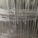 安平鑠凱廠家生產養鹿鐵絲網圍欄，草原養殖圍欄網，養鹿網立柱，現貨供應