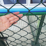 安平铄凯供应带框架的围栏网，运动场所围栏网，自产自销图片5