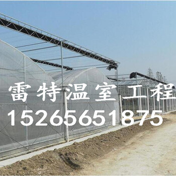 供應(yīng)連棟溫室建造連棟薄膜溫室建設(shè)報(bào)價(jià)合理