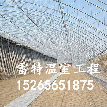 承接简易大棚建设温室大棚建设物美