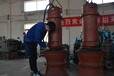 轴流泵立式潜水轴流泵天津潜成泵业轴流泵轴流泵型号