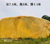 宁都县风景园林石头黄蜡石